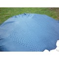 Ostrich Leather