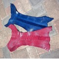 Ostrich Leg Skin